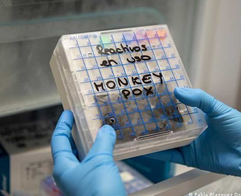 Smallpox vaccine approved to prevent monkeypox