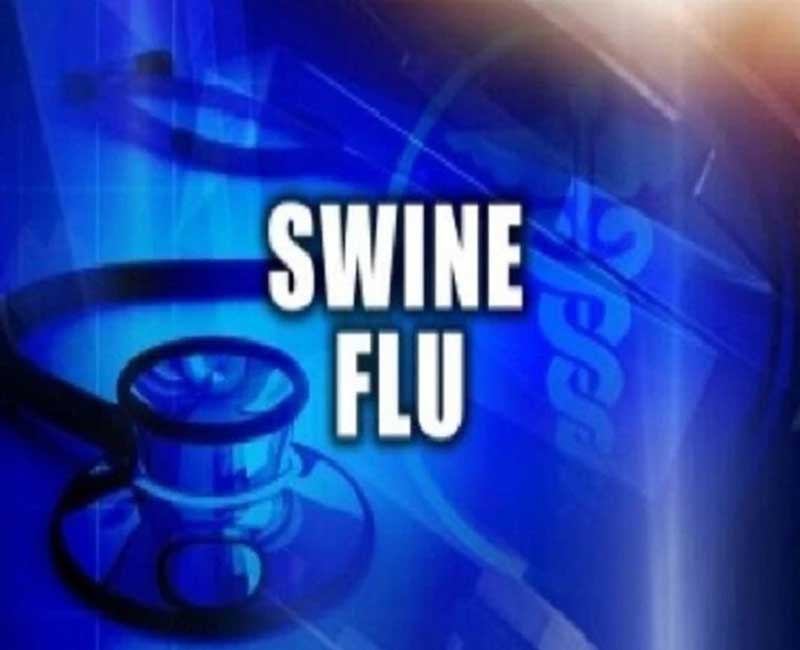 swine flu havoc in maharashtra