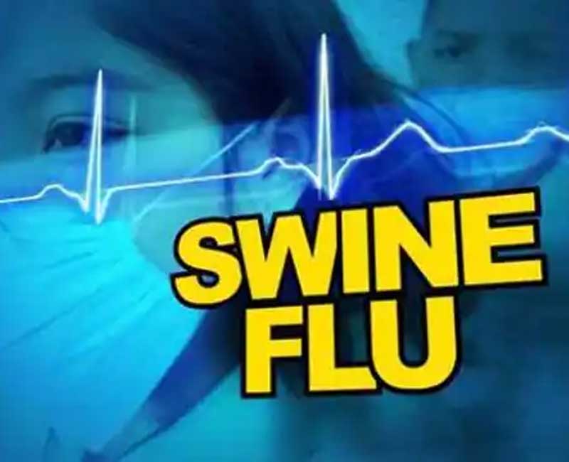 Number of active cases of swine flu increased to 31